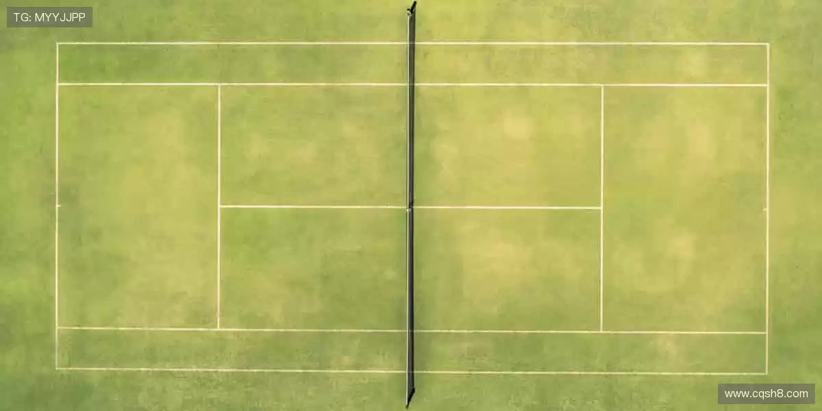 👕限量潮品,实力见证!用细节诠释你对体育的极致追求!